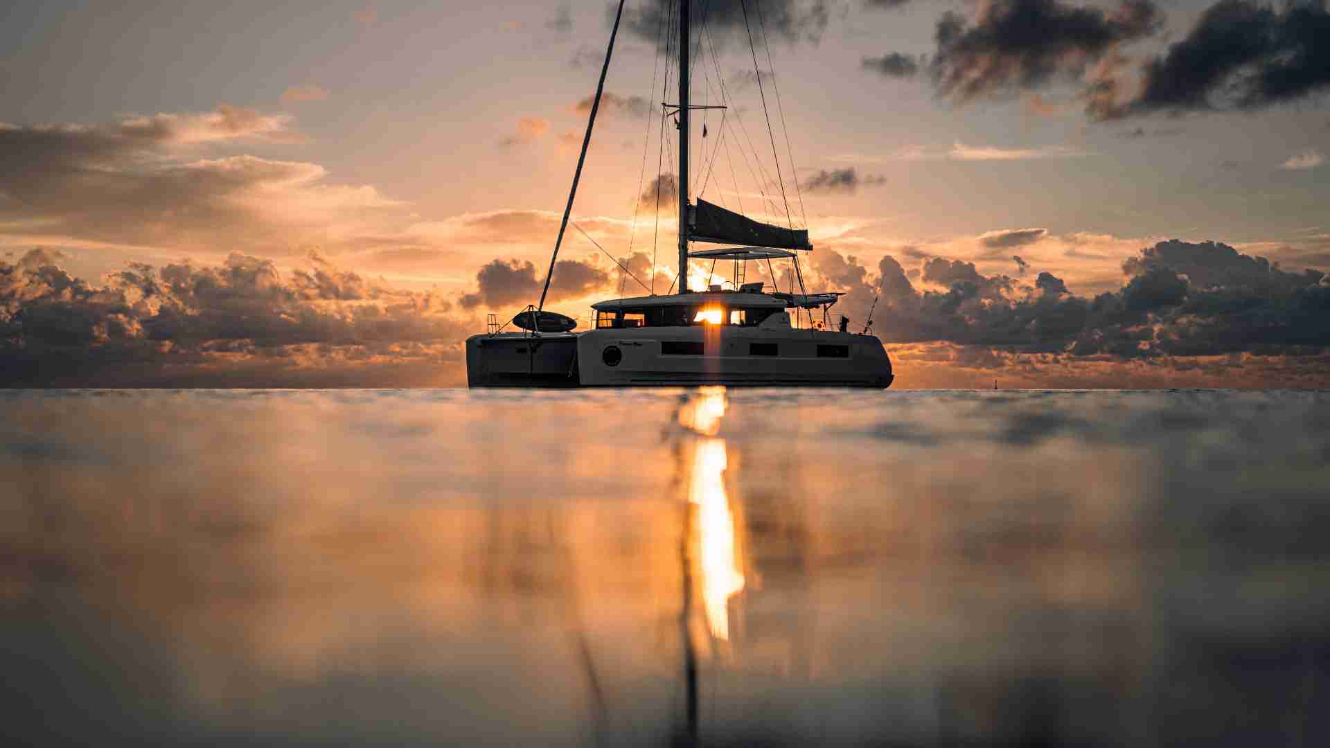 Wine tasting in vineyard